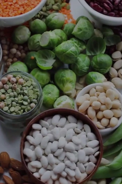 wellhealthorganic.com: vegetarian-protein-sources